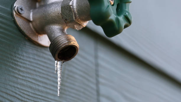 Best Sewer Line Repair  in Bethany, IL